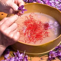 Saffron from Iran